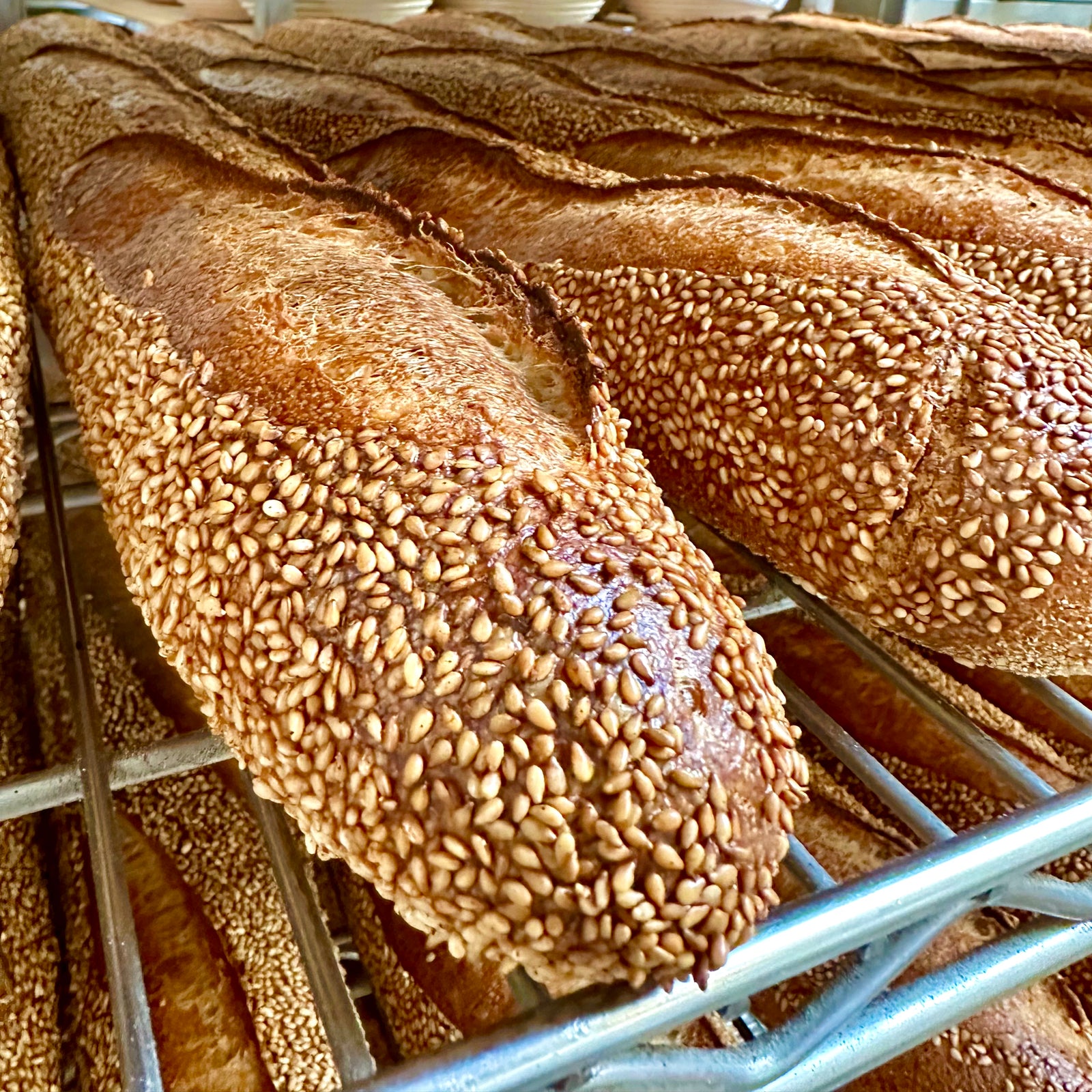 East Coast // Semolina Hoagie