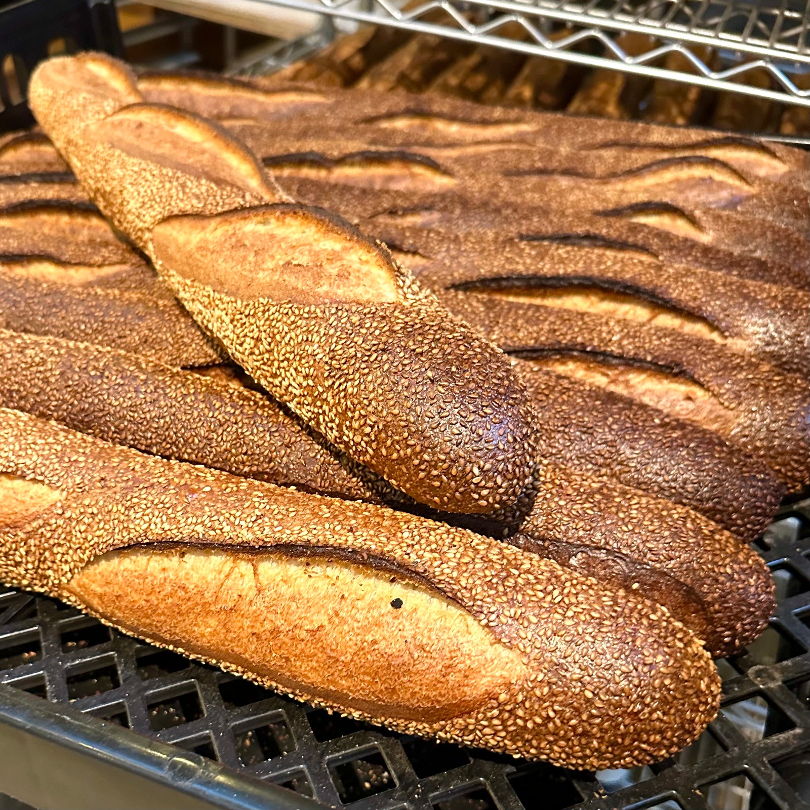 East Coast // Semolina Hoagie