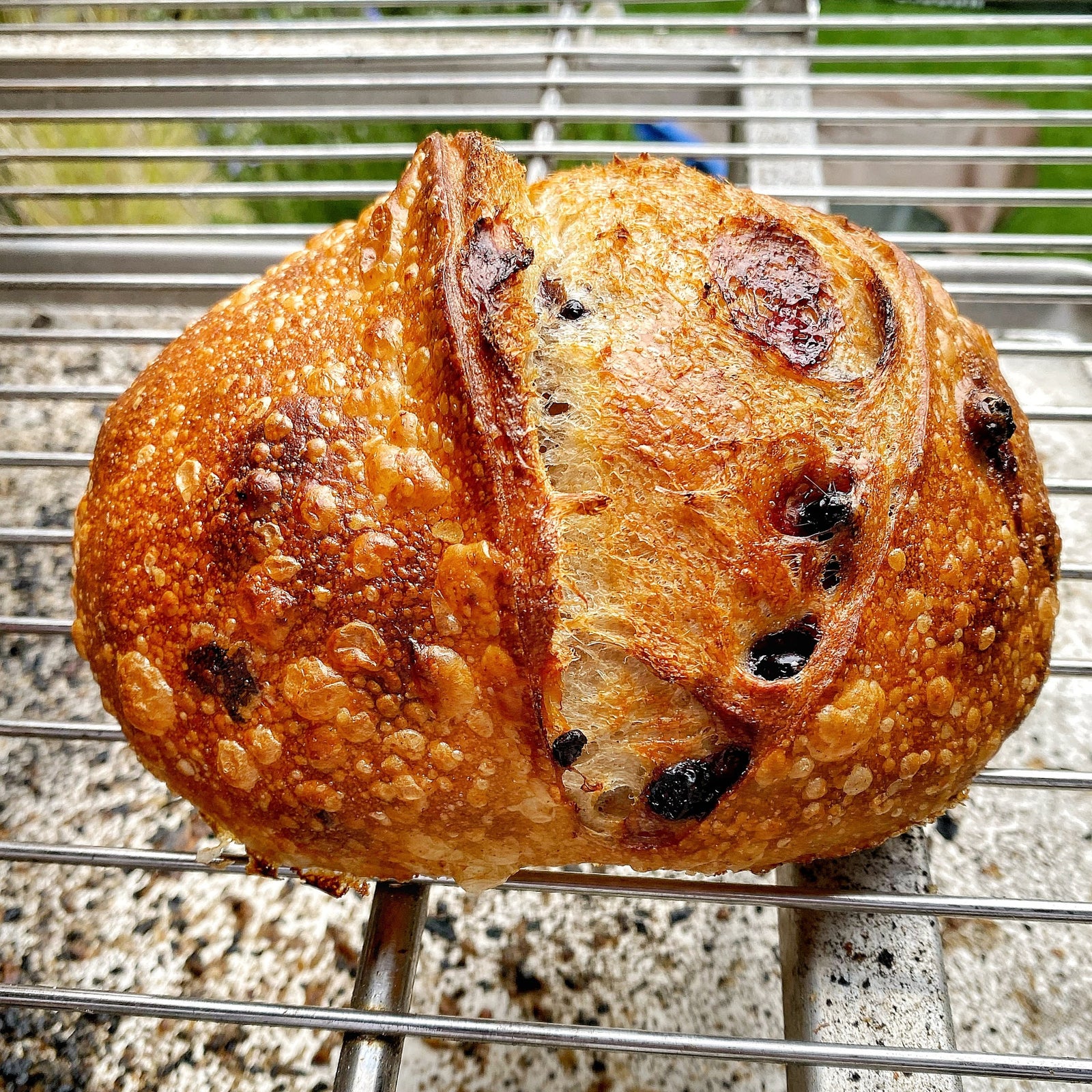 Candied Blueberry Loaf