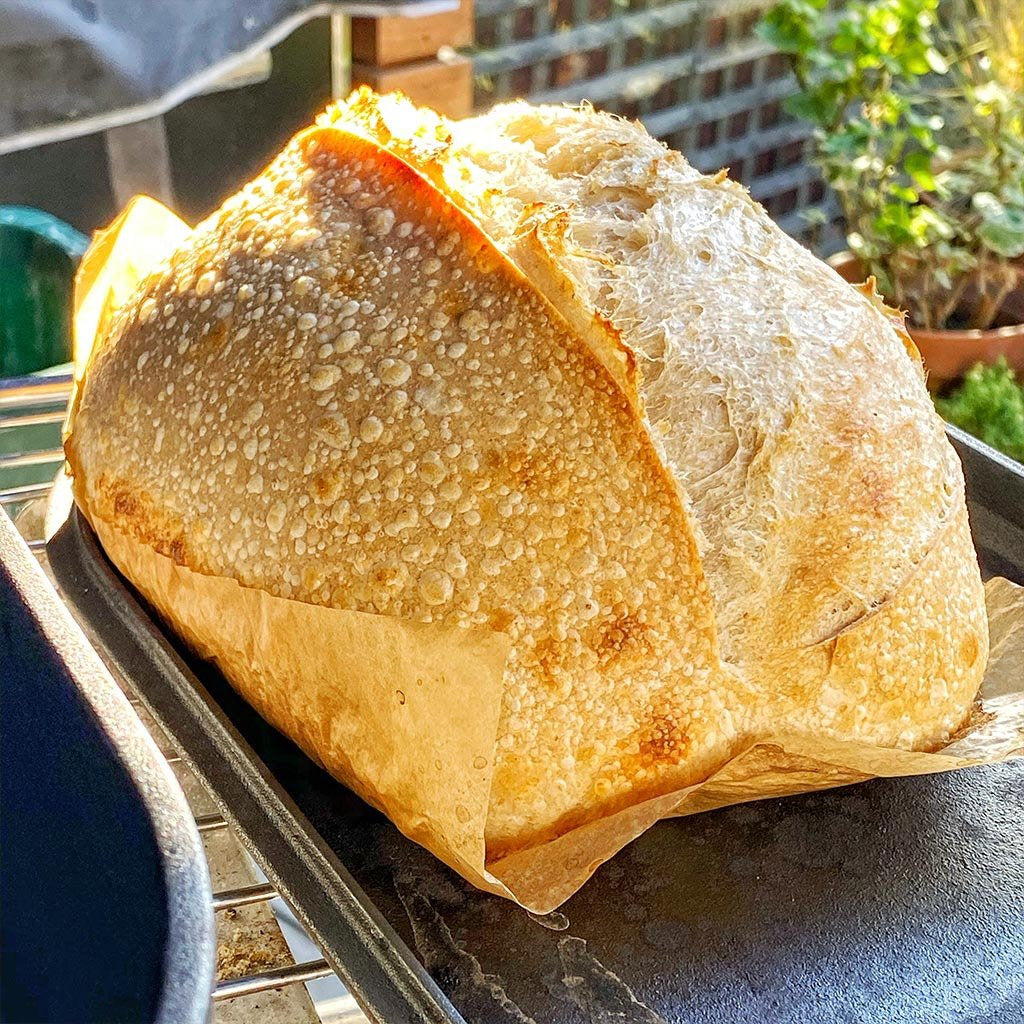 DONATE // PAY IT FORWARD