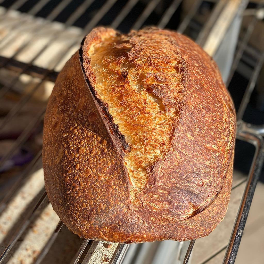 PAY IT FORWARD // OG LOAF