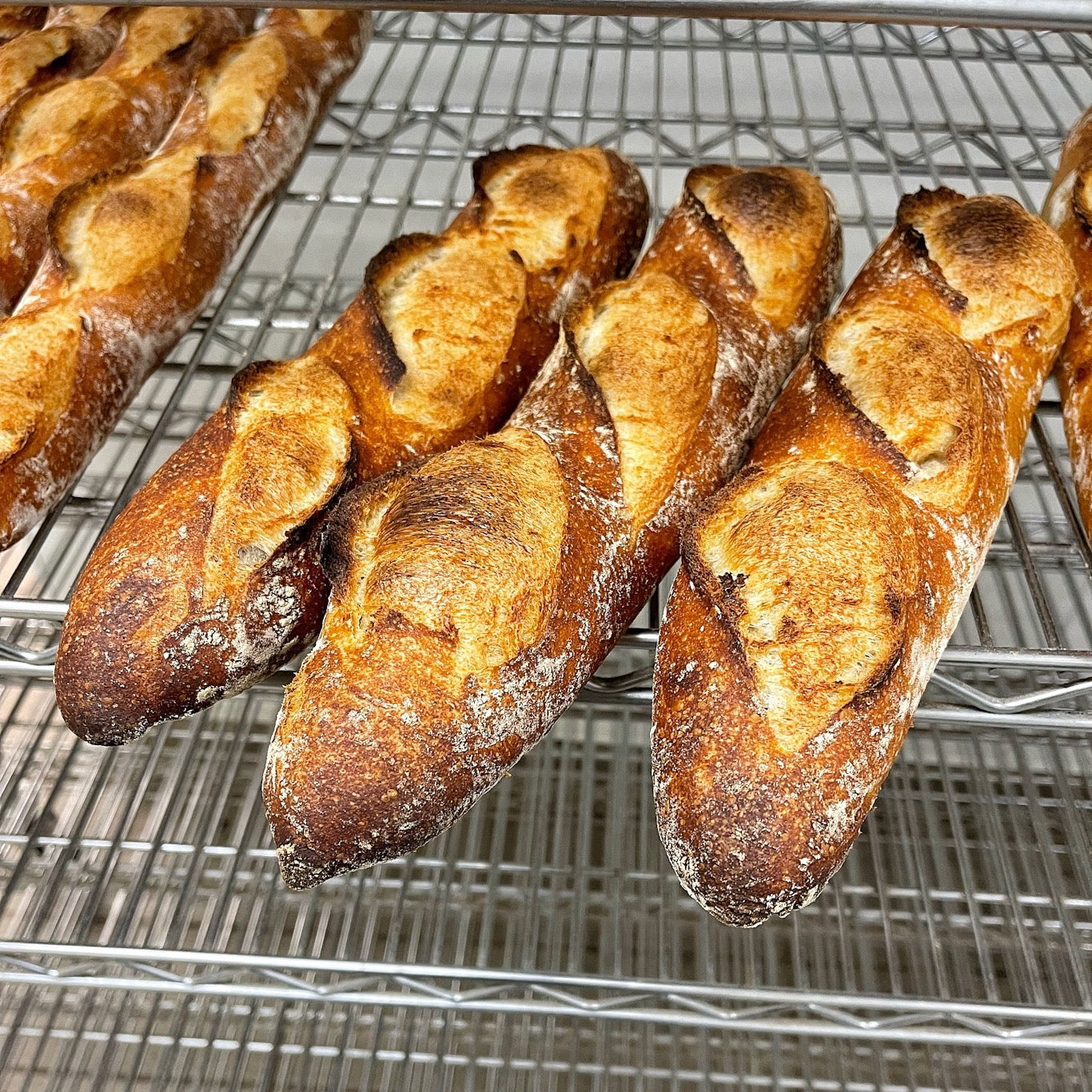 Demigorgon // Baguette