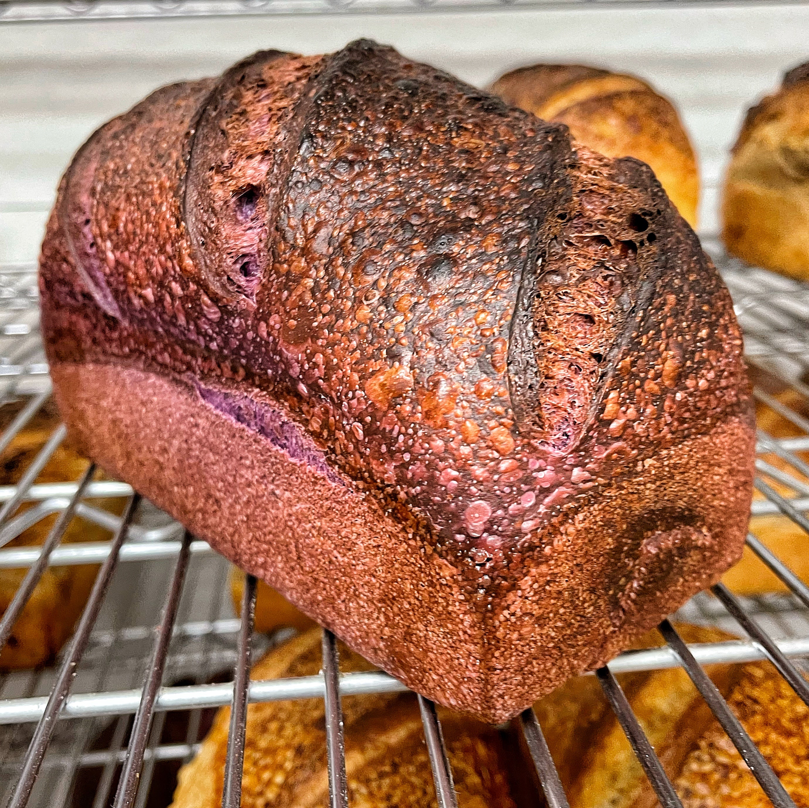 All Loaves - Rize Up Bakery LLC