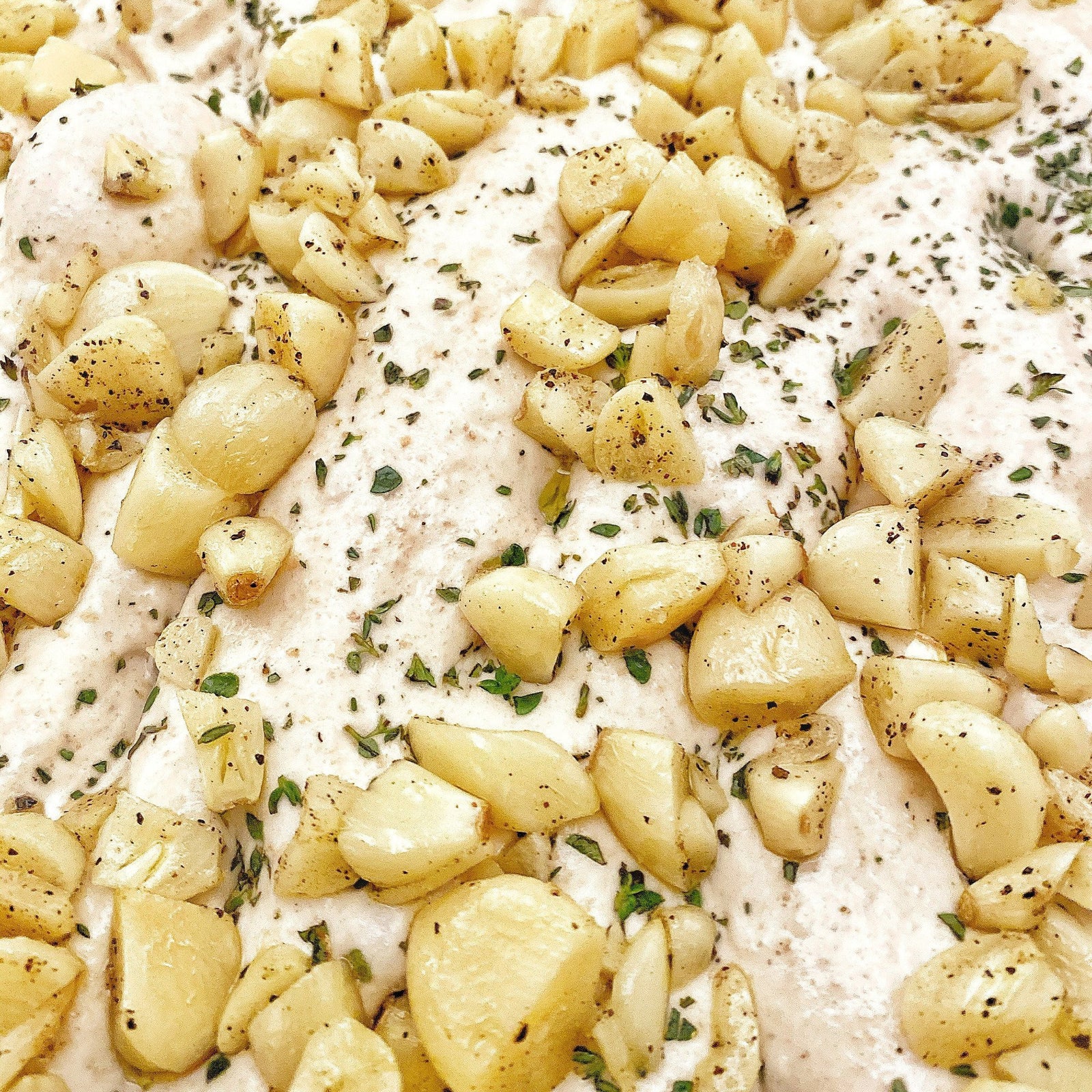 Garlic Confit // Thyme Loaf