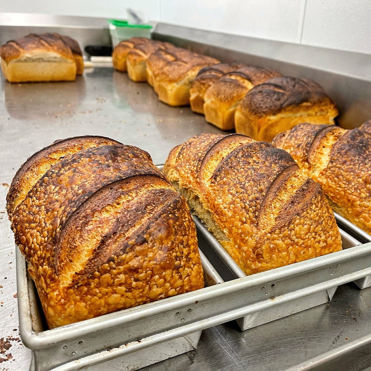 Rooted // Country Pan Loaf