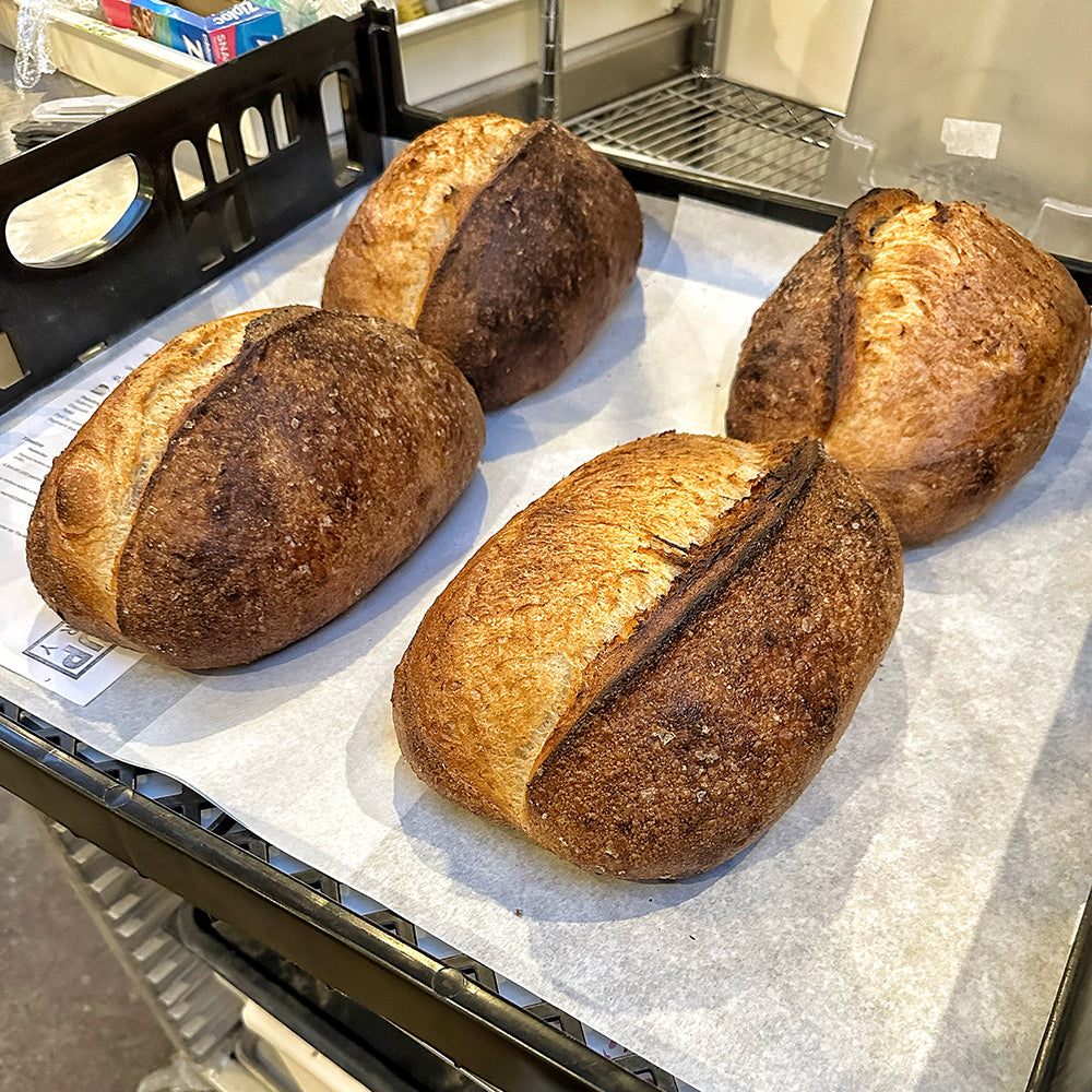 the Morris // Salted Batard