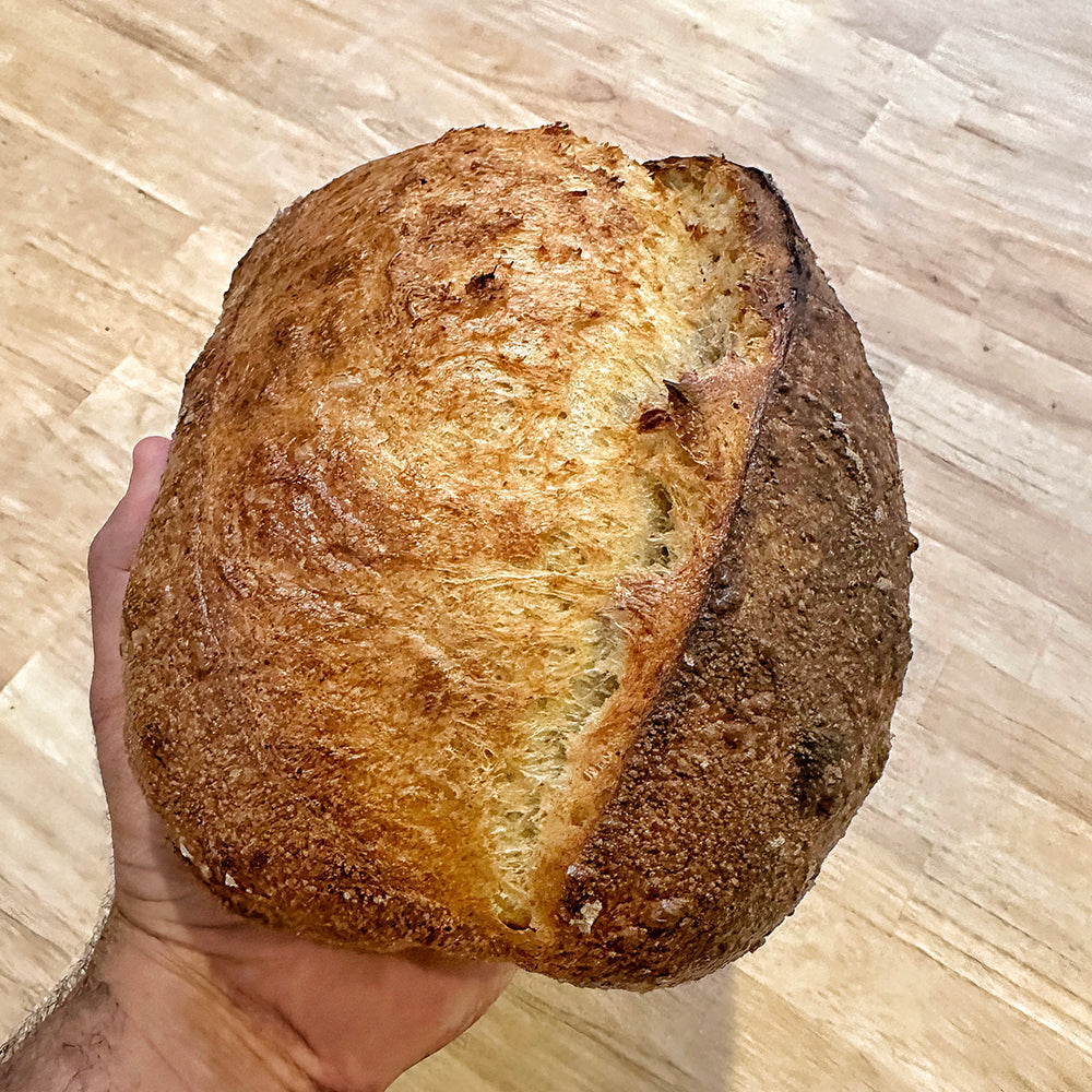 the Morris // Salted Batard